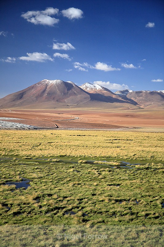 Volcan Tatio & Vega de Putana wetland, Chile - Chile