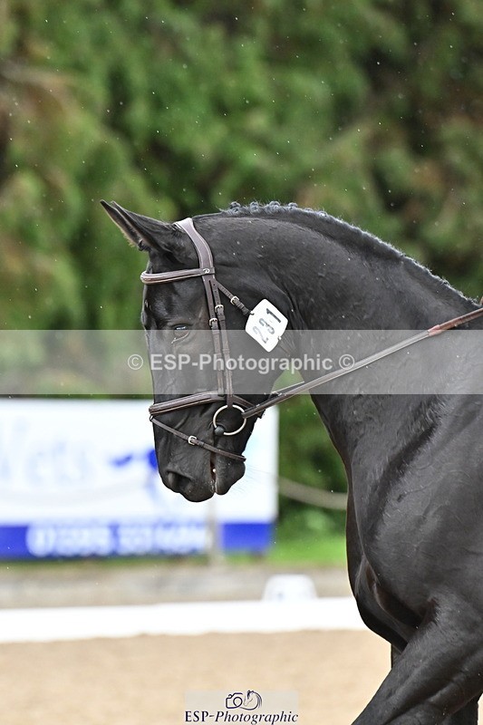 251023A-115754-01819 - C-231-Michael.McNally