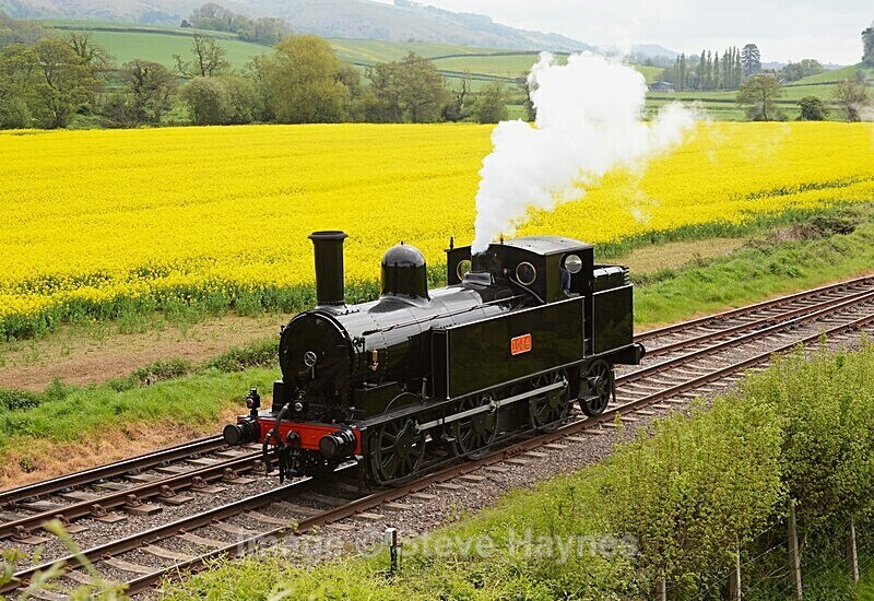 6th May 2024 - West Somerset Railway