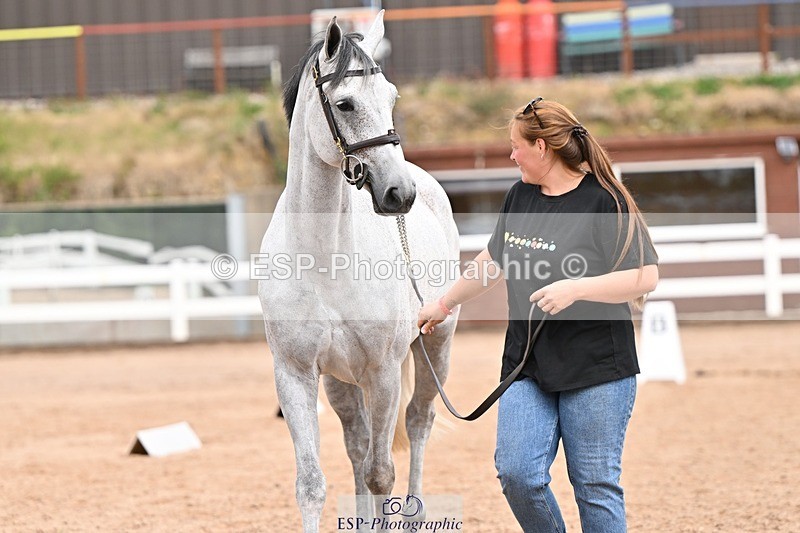 250716-154658-02187 - Trot Up 3.30 to 4.30