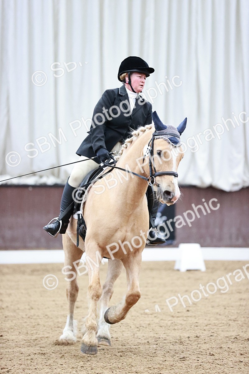 SBM_000330 - Class 5-8-14 - Prem-Nov-Tango - FSM