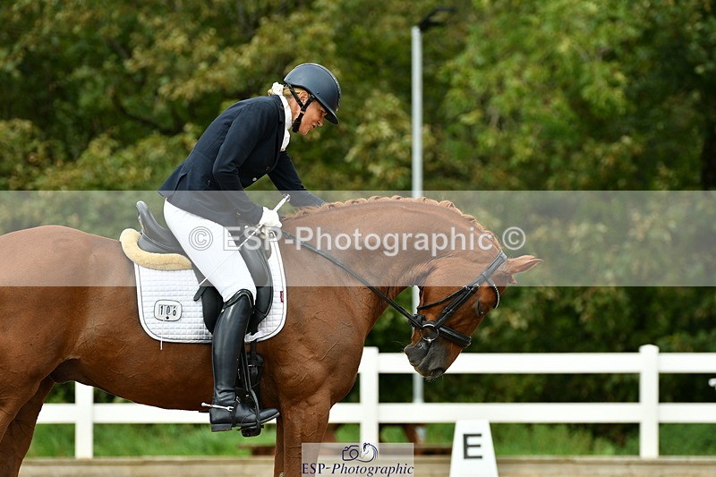 230912A-152543-01568 - Cls 13 Adv Medium 91