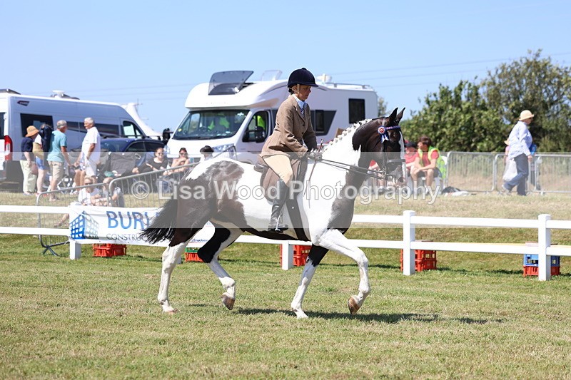 3E7A7695 - Class 7: Open Riding Horse