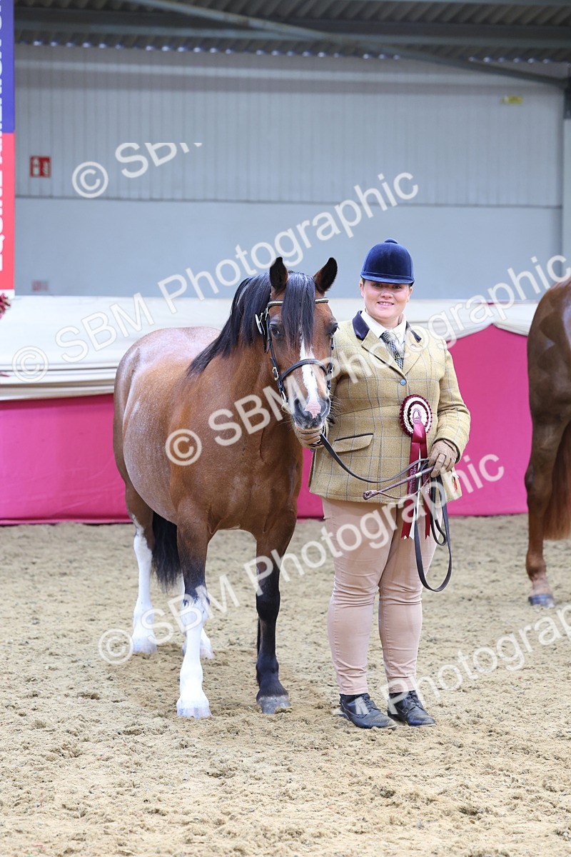 SBM_22931 - Class 903 - Supreme Final - IH Pre Vet