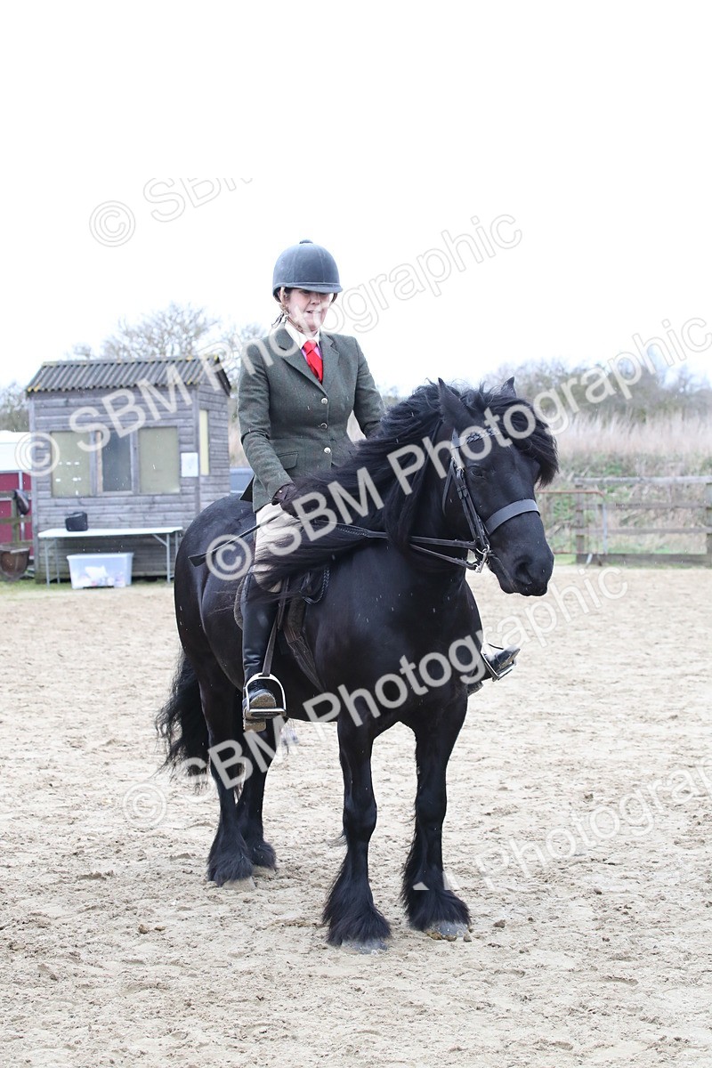 SBM_007310 - Class 10-13 - RIHS Small Large Breeds
