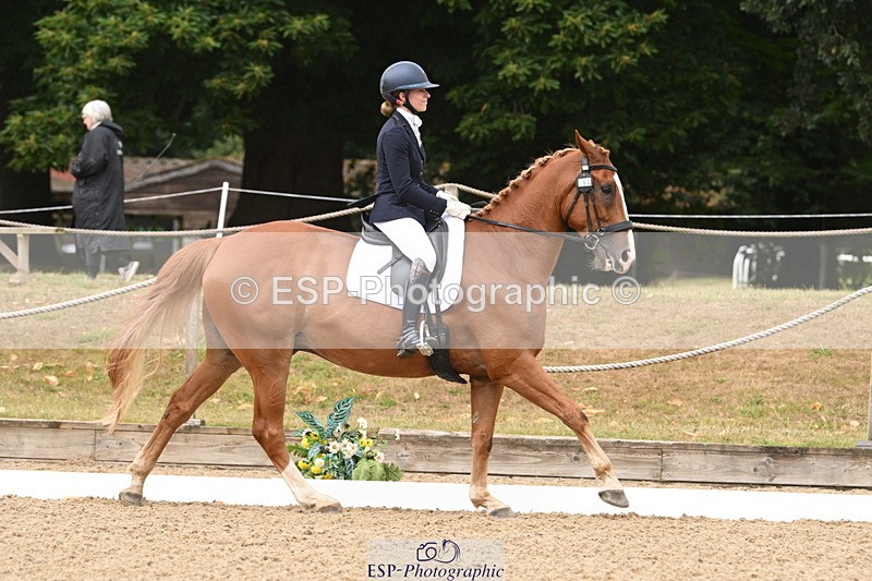 250720A-103442-09599 - 104-Molly.Northmore-Pennmoor.Liberation