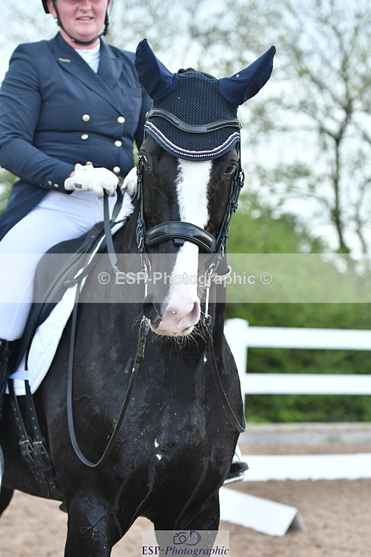 230511A-162745-01372 - BD Cls 18 FEI PSG