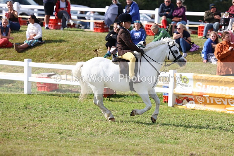 3E7A3870 - Supreme Championship