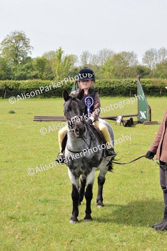 20260426-2352 - Class 20 - Beginner Working Hunter