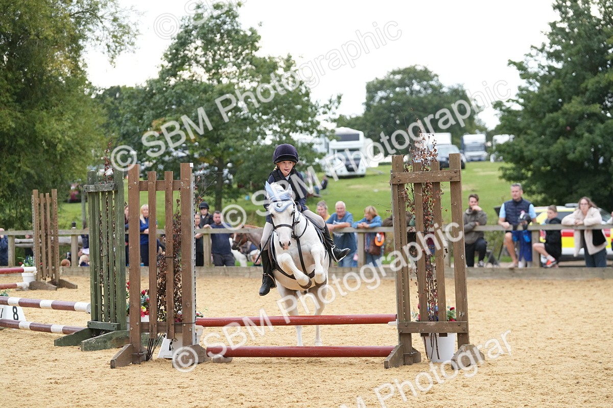 SBM_74594 - J4 - Mini Tour Junior Pony 45cm Championship