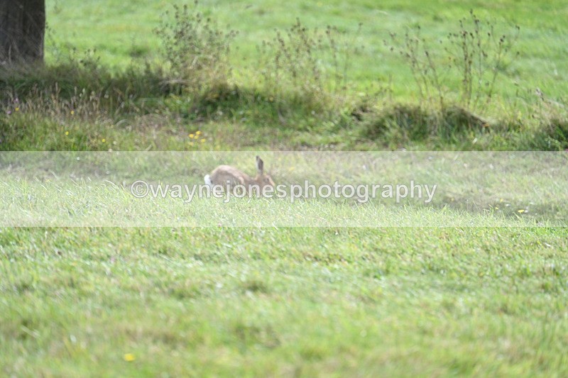 WJ7_7527 - Time 13:21 to 13:29