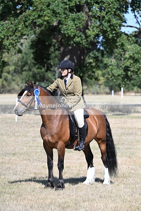WJ7_4153 - Class 9 Mountain & Moorland Ridden