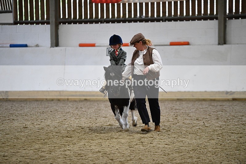 WJ5_6668 - Class 10 Childs Pony
