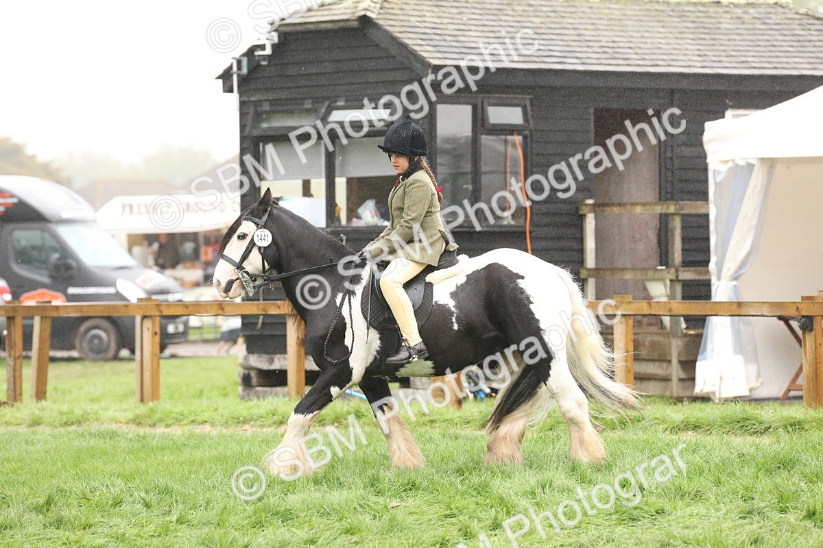 SBM_72764 - S70 - Traditional Cob Ridden