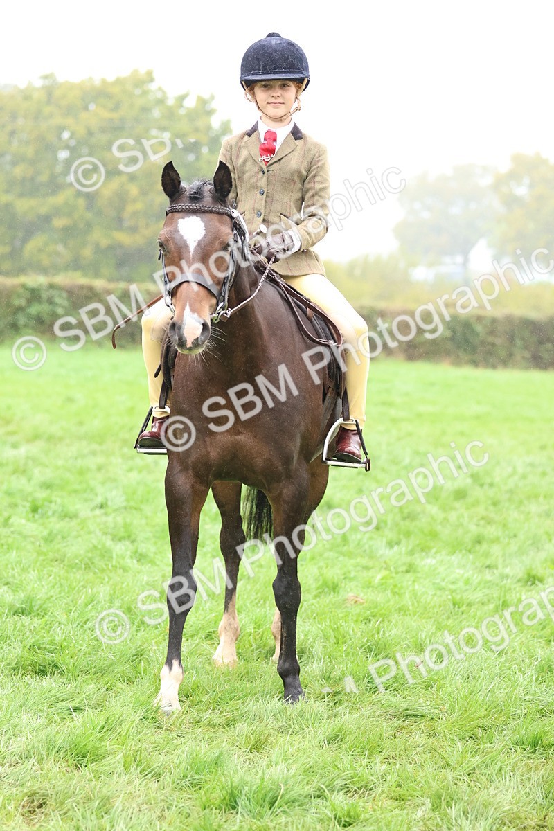 SBM_73054 - S63 Show Pony & Show Hunter Pony Ridden