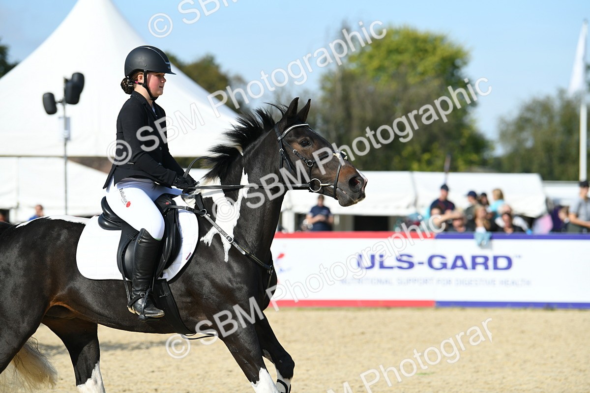 SBM_60749 - j25 - Junior Horse 80cm Championship