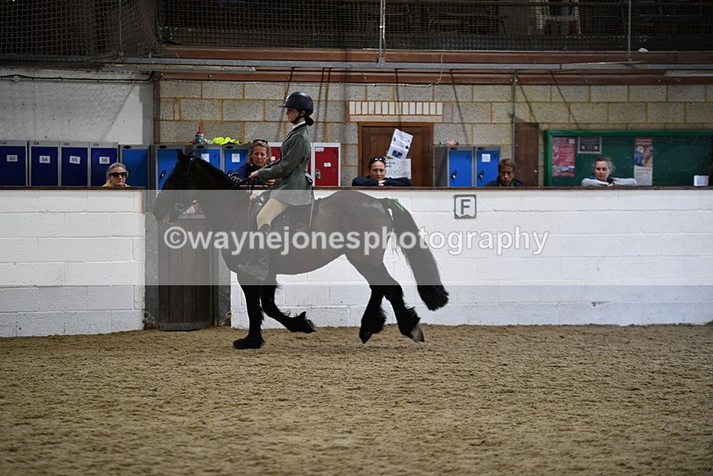 WJ5_7895 - Class 13 Ridden Part Breed