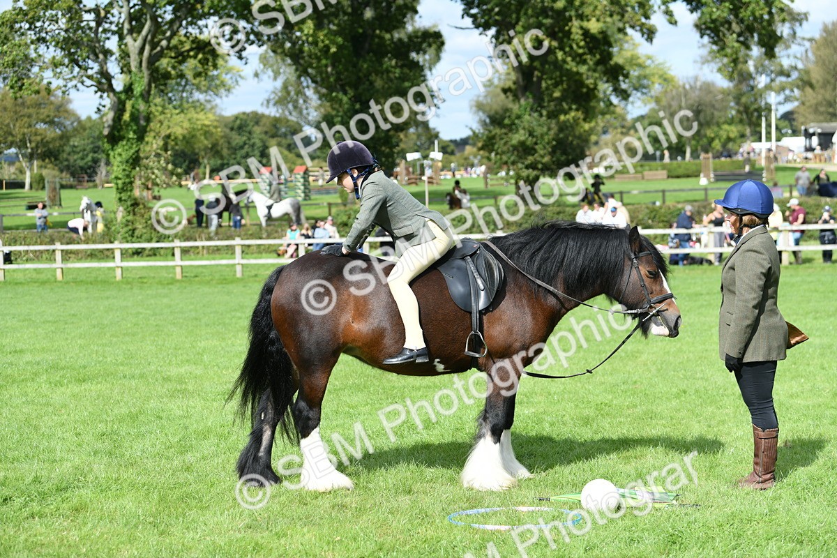 SBM_46914 - S12 - Family Horse & Pony