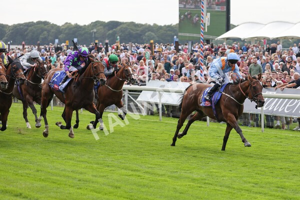 yr18082021r1-57 - Race 1 1.50pm Sky Bet & Symphony Group Stakes