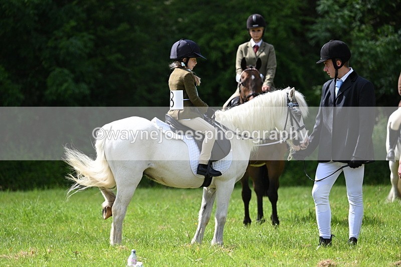 WJ7_1365 - Class 11 Condition & Turnout