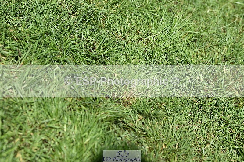 250831A-150152-10772 - Cls 38 5 Year Old Final