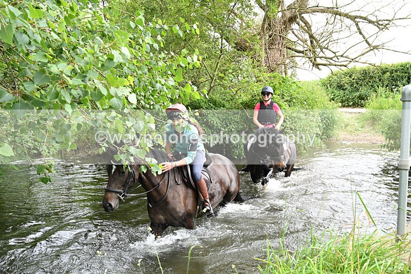 WJ7_2324 - Camera 2 Water Crossing