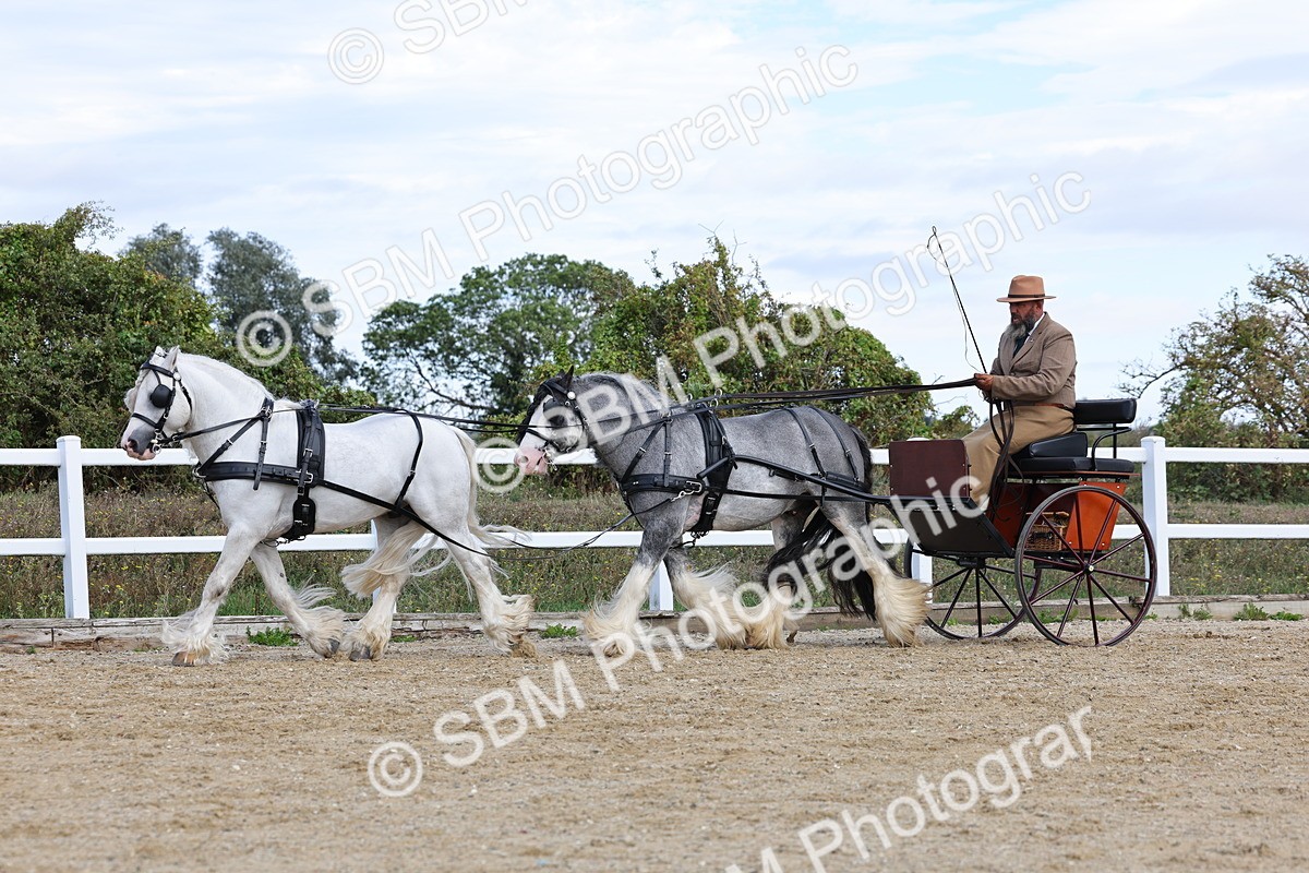SBM_001194 - Class 16 - Pairs ,Multiples and Tandems