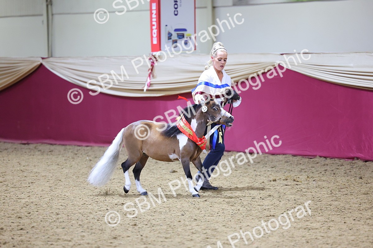 SBM_18706 - Class D IH Pony Champ