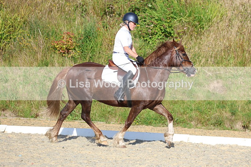 3E7A3668 - Class 2: Intro 1 2024 Section B