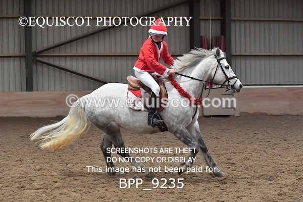 BPP_9235 - CLASS 4 50CM Novice Show Jumping