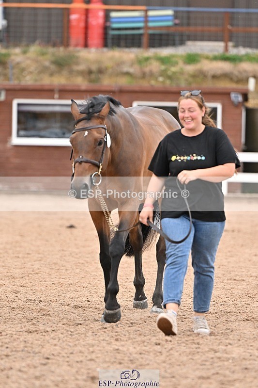 250716-160741-02427 - Trot Up 3.30 to 4.30