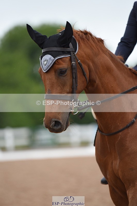 230630A-171408-03770 - Cls 1+2 Intro A + B