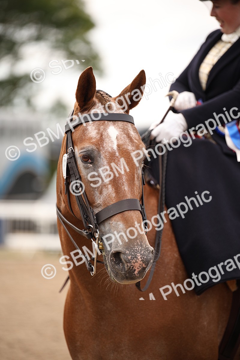 SBM_05504 - Class 22 SSA Equitation