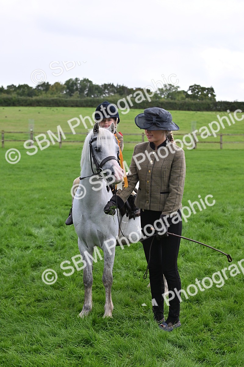 SBM_40152 - S20 - Lead Rein Mountain & Moorland Pony