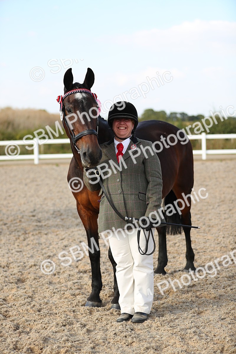 SBM_08702 - Class 28 - IH Veteran Horse