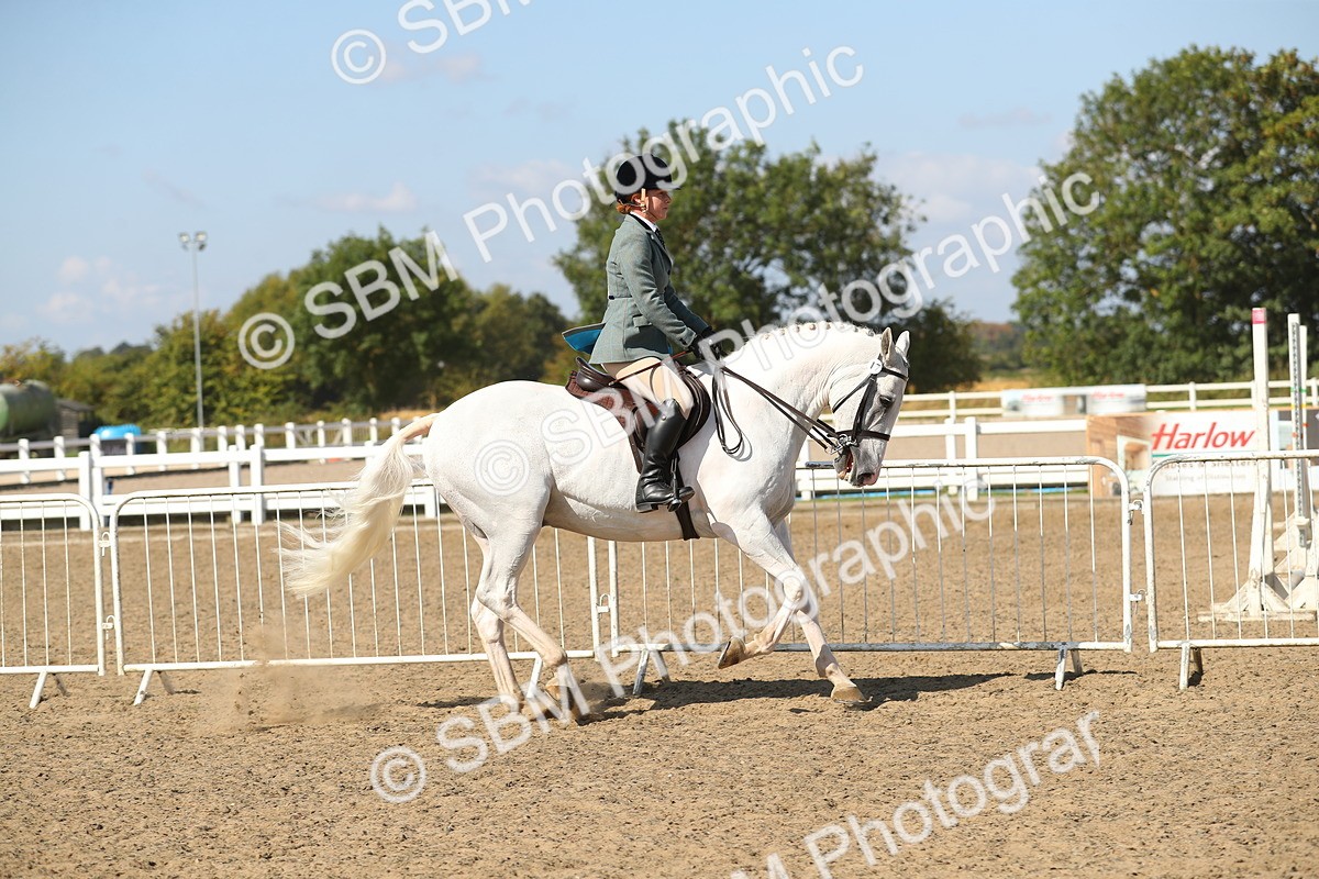 SBM_03138 - Class 44 Riding Club Horse/ Pony
