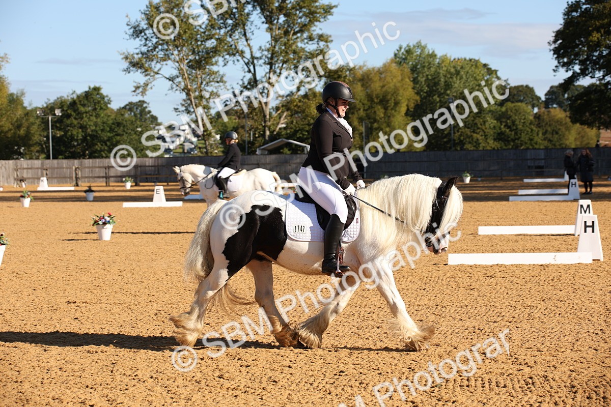 SBM_01858 - D2 Small Tour Championship Intro C