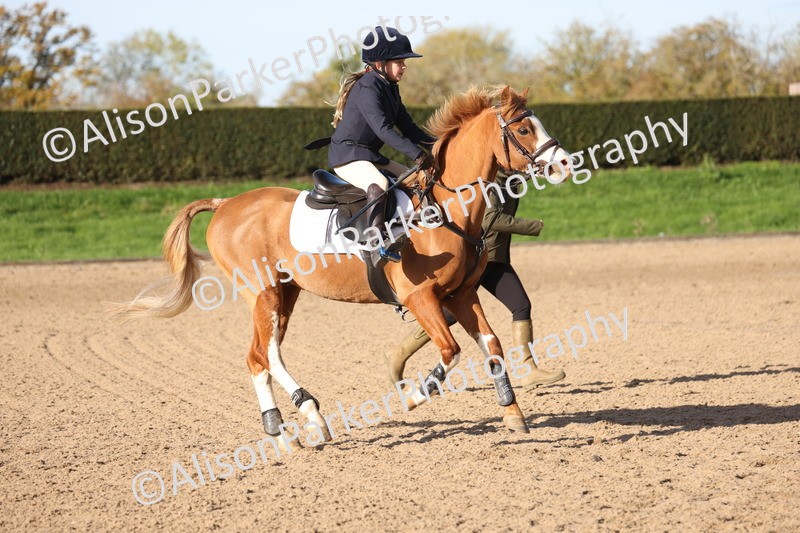 20251026-0285 - Class 1 - 60cm