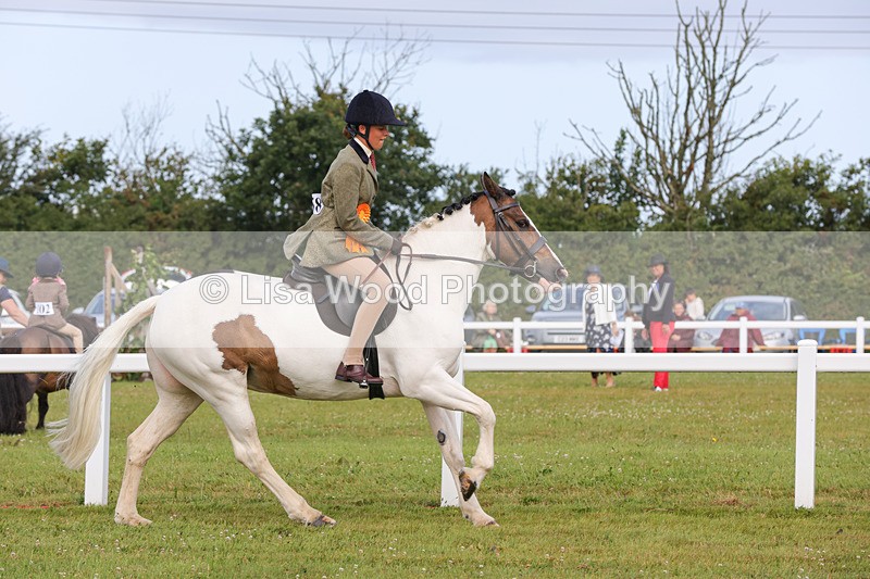 1X9A3108 - Class 26: Ridden Plaited Coloured Pony