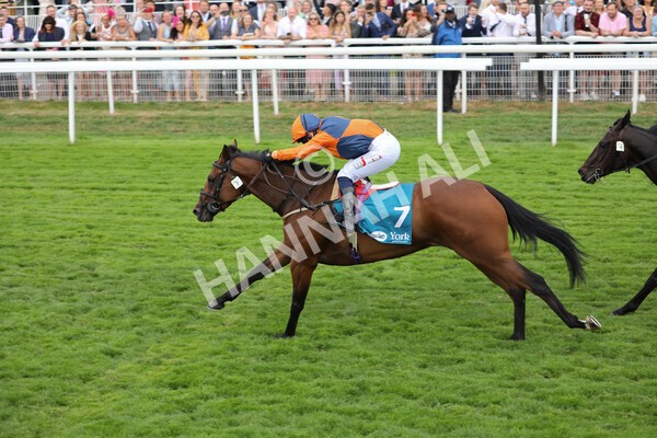 yr23072022r7-22 - Race 7 5.35pm Sky Bet Paying Extra Places Stakes