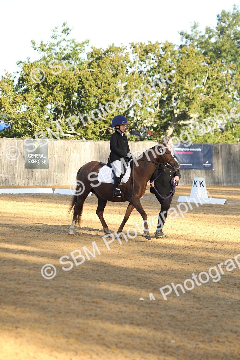 SBM_33658 - D26 - Starers - Lead Rein