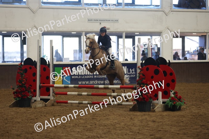 20260314-1632 - 70cm