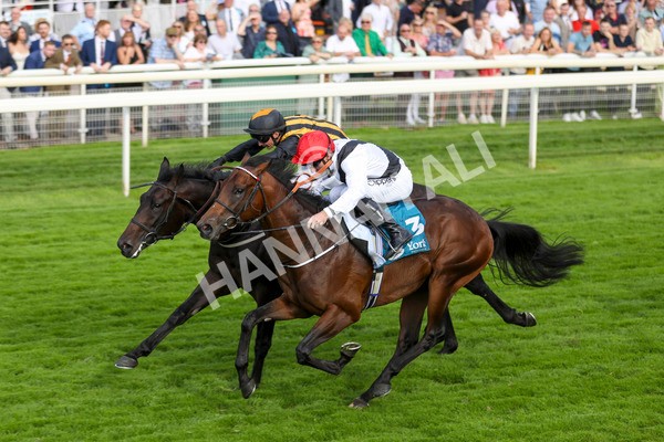 280723-Race 3-Loose Cannon-2839 - Race 3 6.05pm Ire-Incentive, It Pays To Buy Irish EBF Restricted Novice Stakes