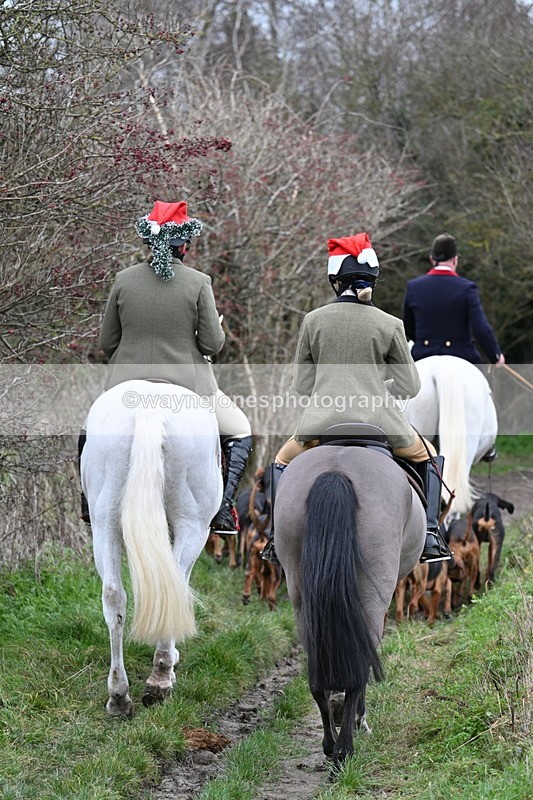 WJ7_0847 - First Seen