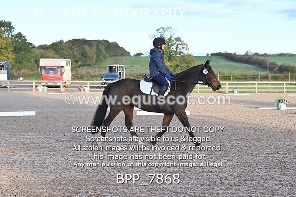 BPP_7868 - LONG ARENA