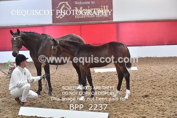 BPP_2237 - AFTERNOON 12.30 - 3.30PM