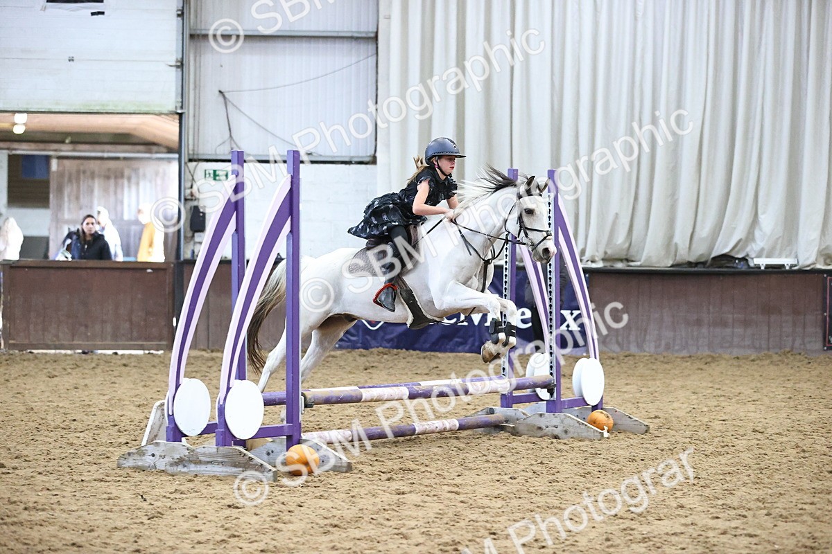 SBM_001629 - Class 3 - Horse & Hound 60cm
