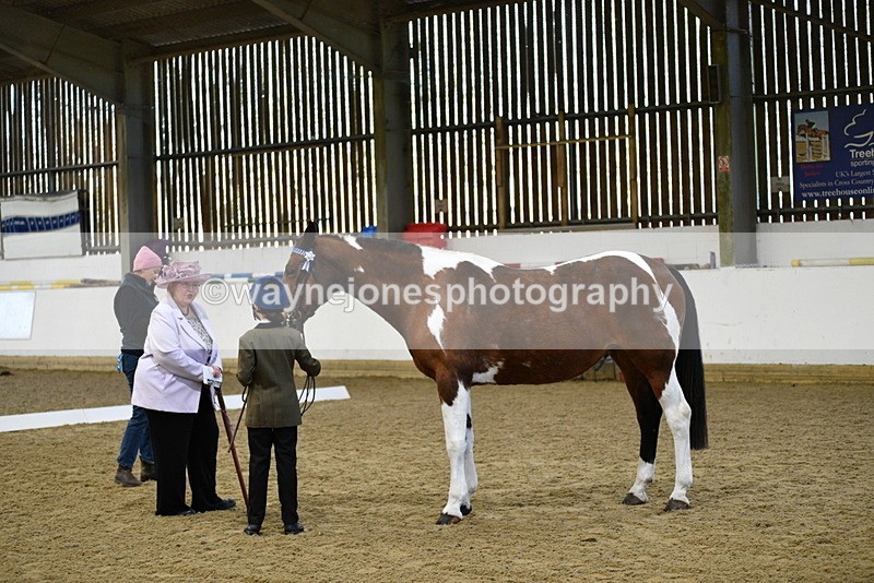 WJ5_3810 - Class 5 In Hand Veterans