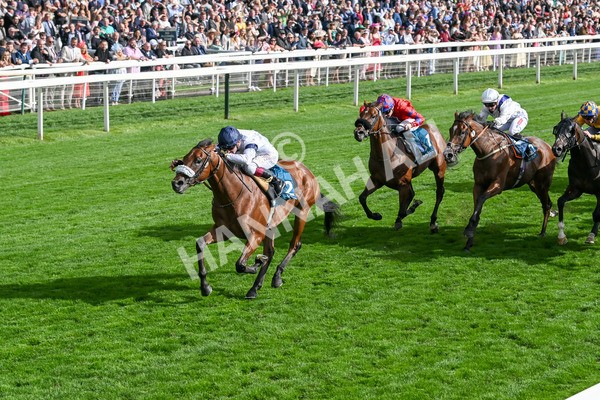 210825-Race 6-Stellar Sunrise-5205 - Race 6 4.45pm Mews Hotel Ossett EBF Stallions Nursery Handicap