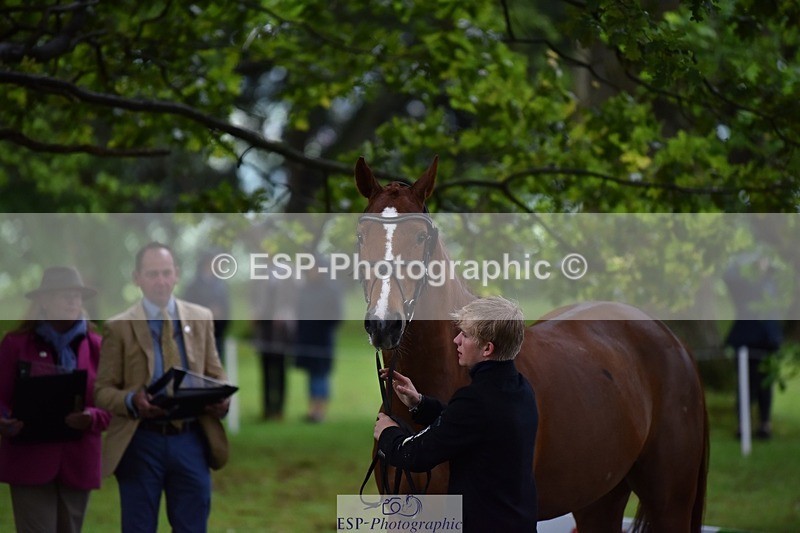 240522-163918-01064 - 265-GREANNANSTOWN_MONBEG_JOE-Finn_Healy